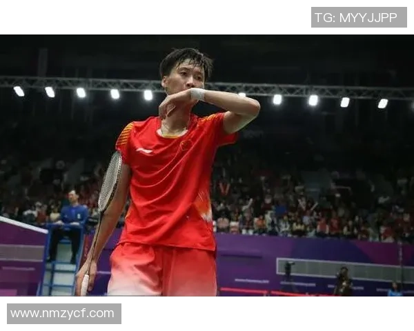 南京羽毛球队总决赛精彩回顾与节奏表现分析