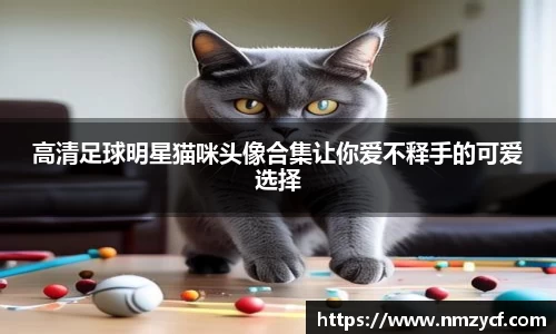 乐动LDSports体育